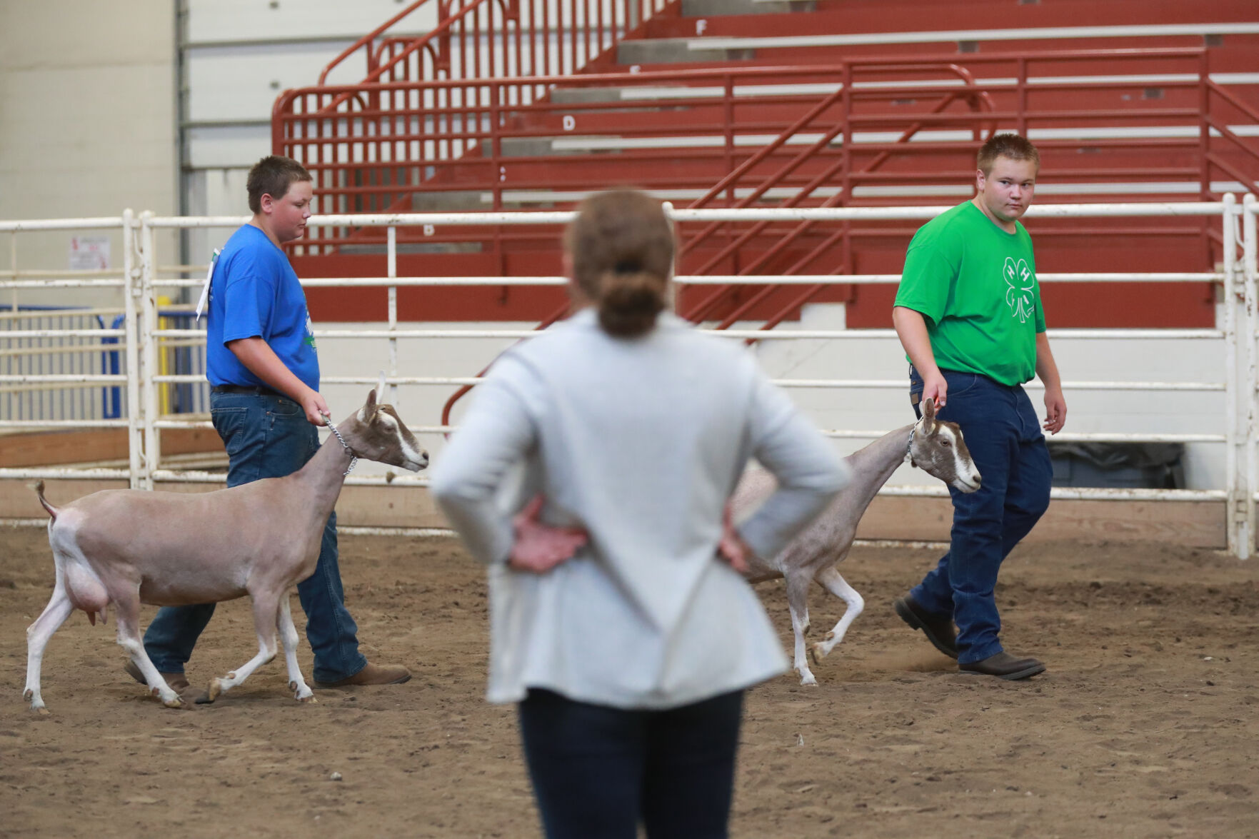 072320_HCFGoatShow001_bjs.JPG
